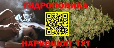 прущие крисы Коммунар