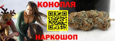 гашик Краснознаменск