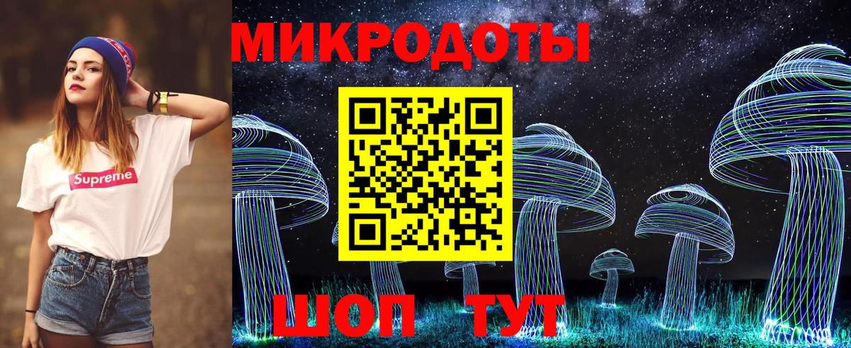 Галлюциногенные грибы Psilocybine cubensis Красноярск
